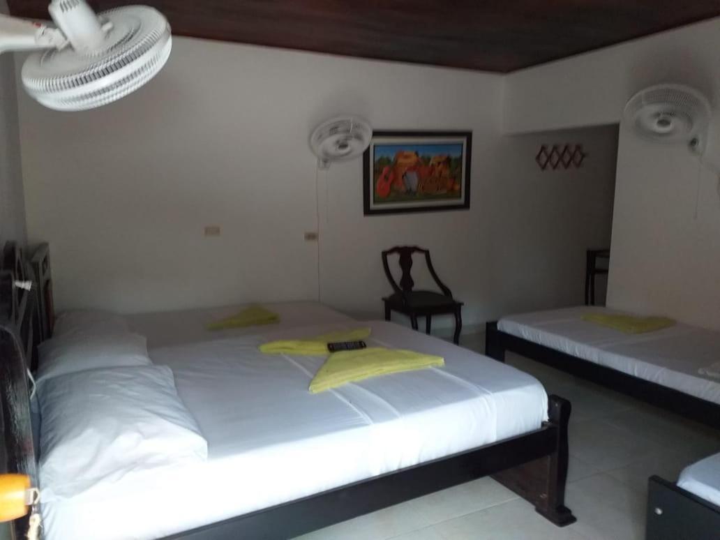 Hostel Cattleya Palomino Ngoại thất bức ảnh