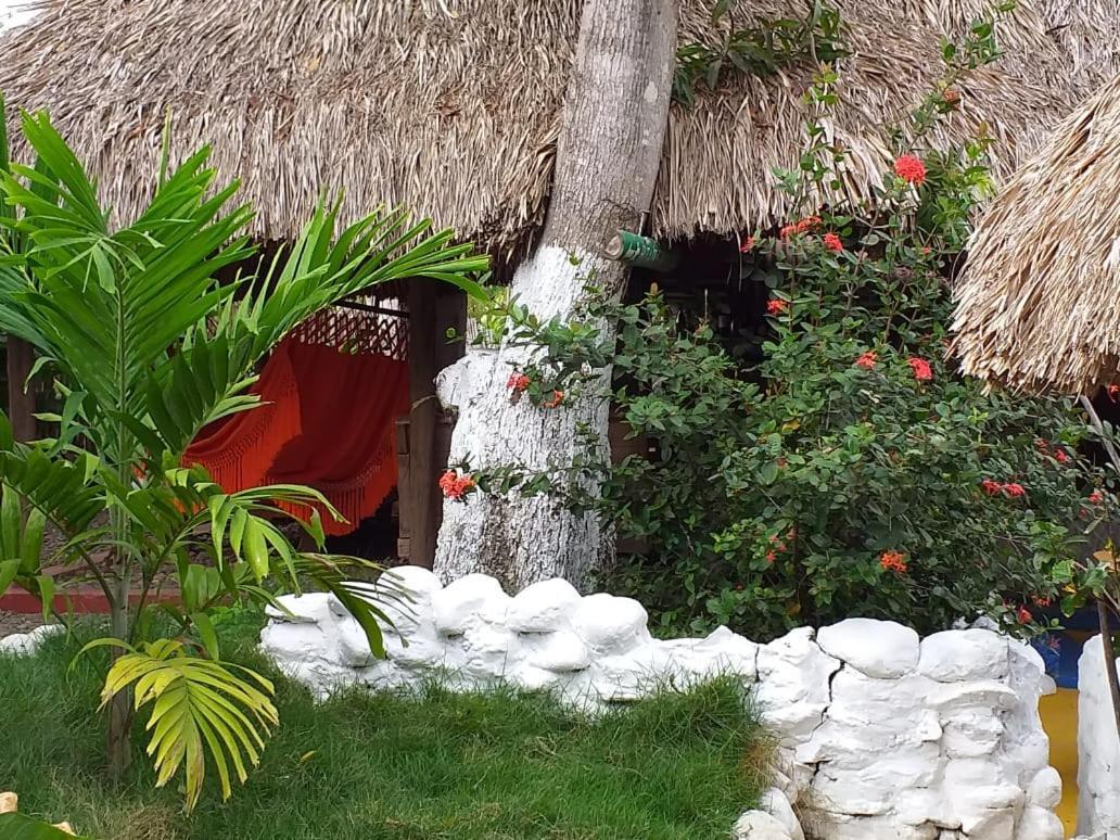 Hostel Cattleya Palomino Ngoại thất bức ảnh