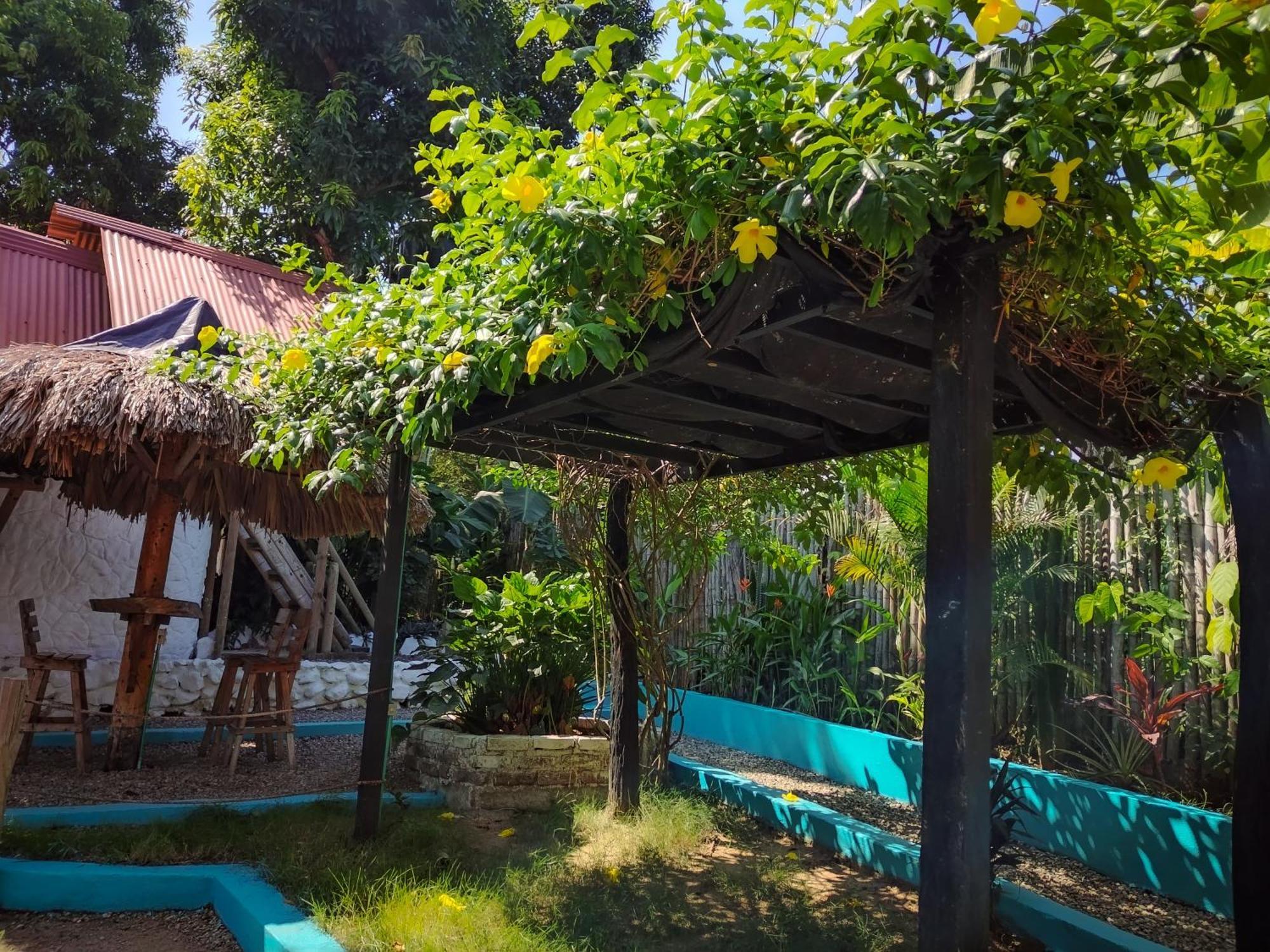 Hostel Cattleya Palomino Ngoại thất bức ảnh
