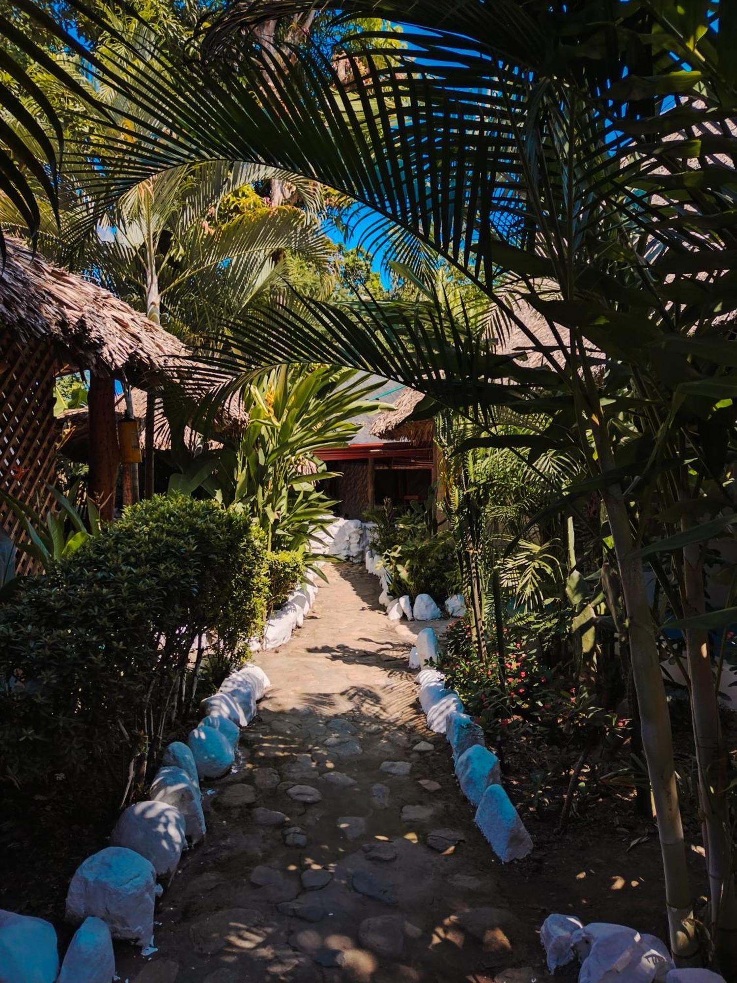 Hostel Cattleya Palomino Ngoại thất bức ảnh