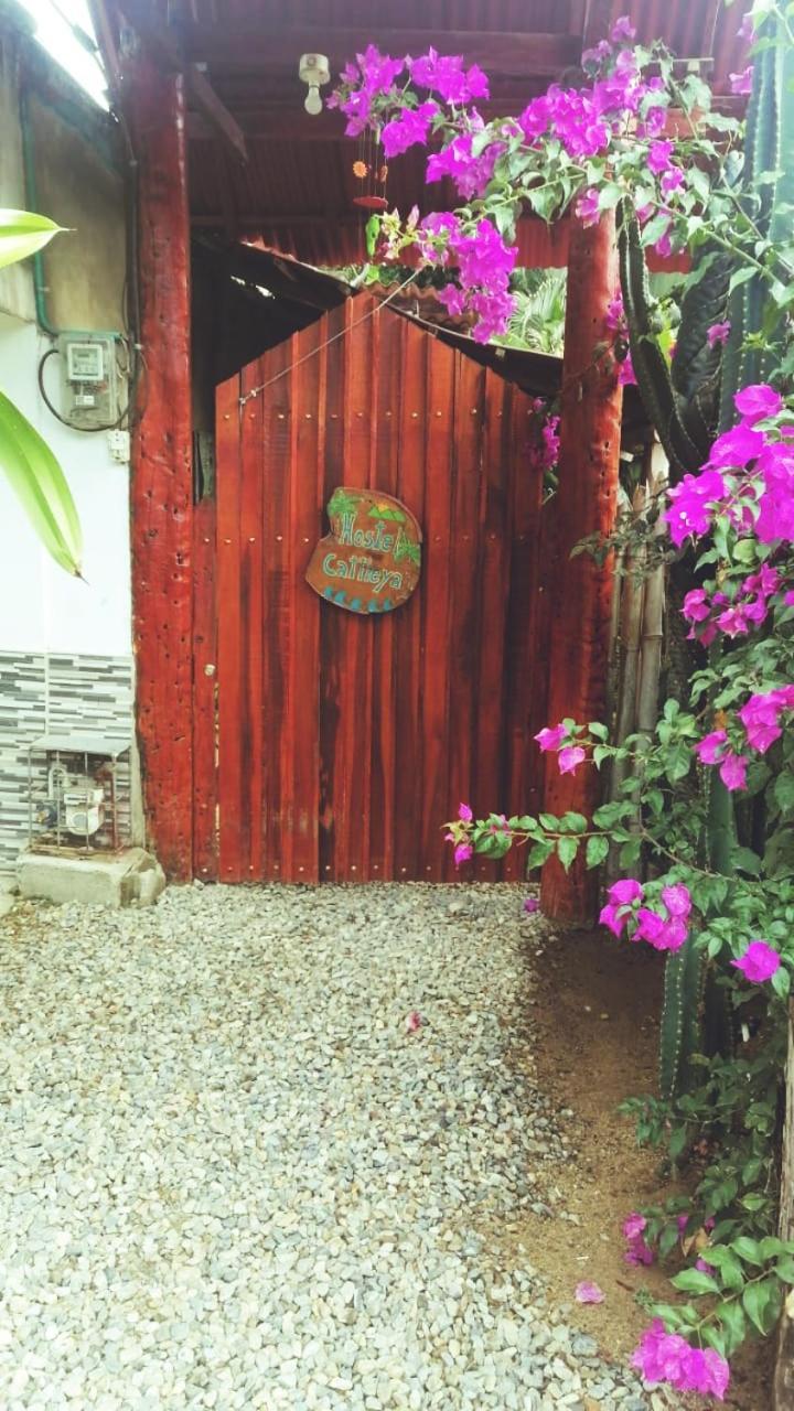 Hostel Cattleya Palomino Ngoại thất bức ảnh