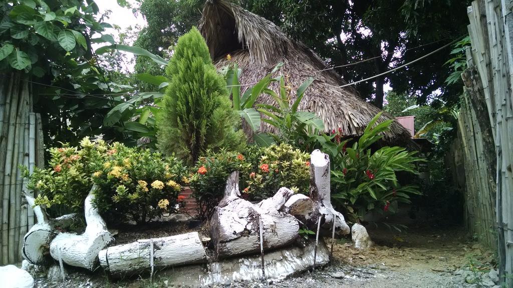 Hostel Cattleya Palomino Ngoại thất bức ảnh