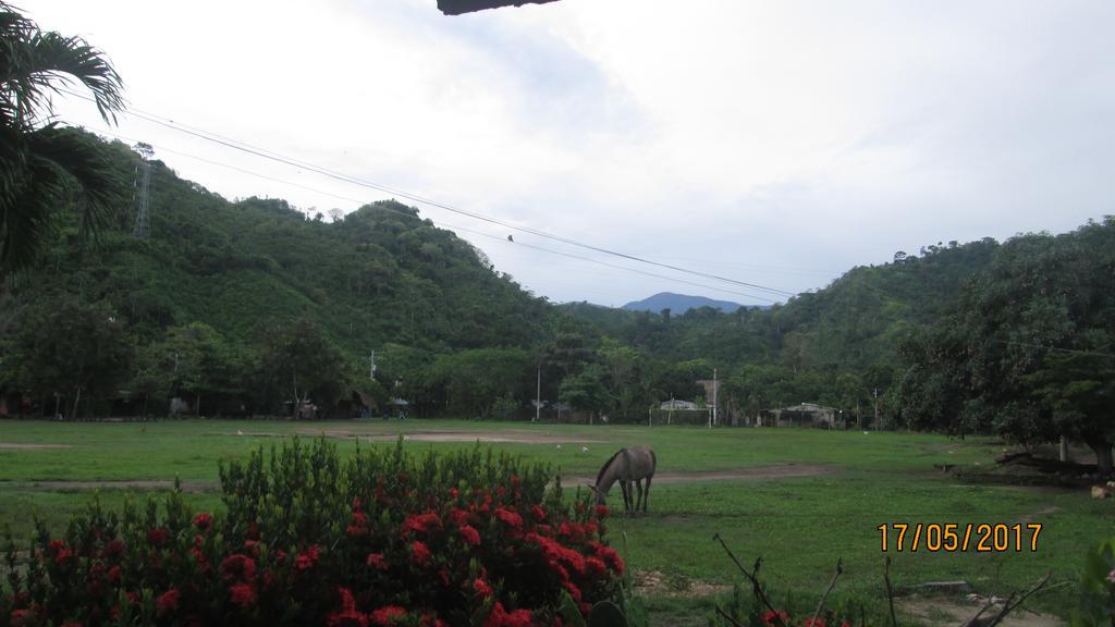 Hostel Cattleya Palomino Ngoại thất bức ảnh