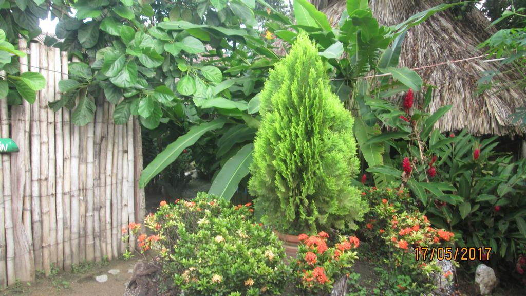 Hostel Cattleya Palomino Ngoại thất bức ảnh