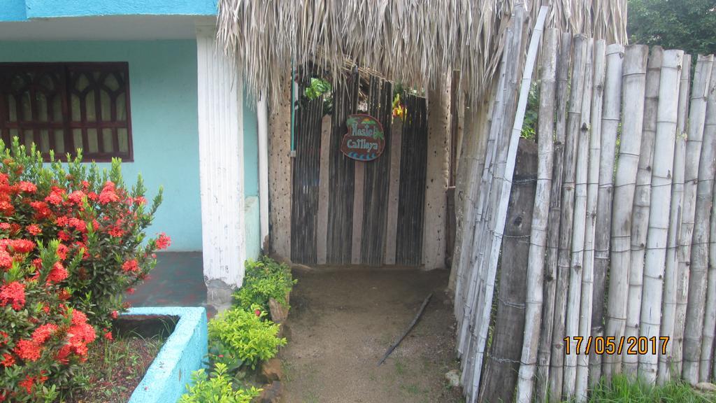 Hostel Cattleya Palomino Ngoại thất bức ảnh