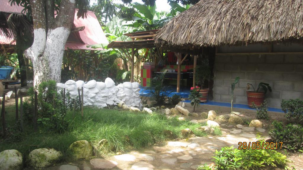Hostel Cattleya Palomino Ngoại thất bức ảnh
