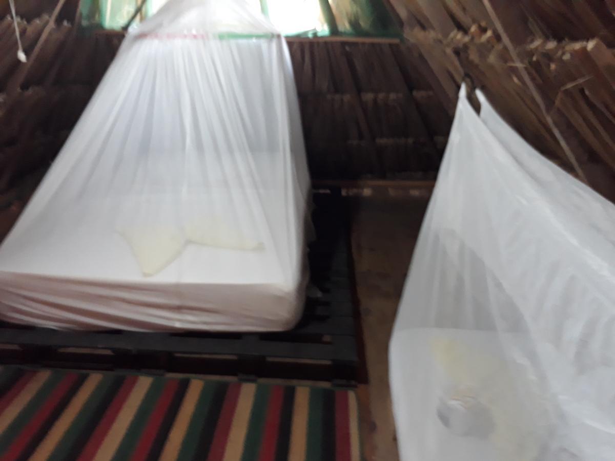 Hostel Cattleya Palomino Ngoại thất bức ảnh